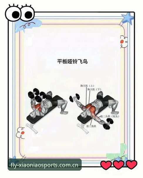 小鸟体育平台入门必备指南：掌握小鸟综合体育最新版下载与使用技巧